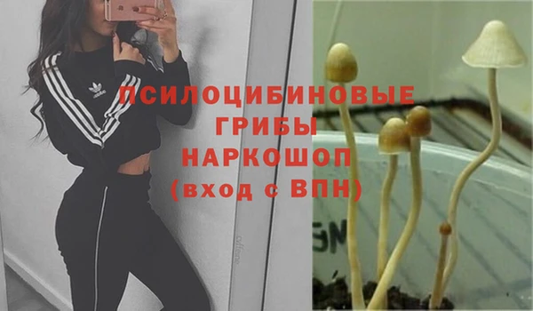 дживик Белоозёрский