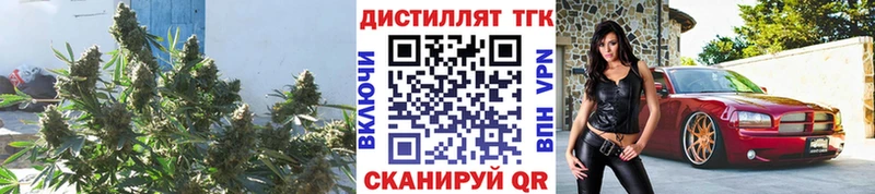 Дистиллят ТГК жижа  Вязьма 