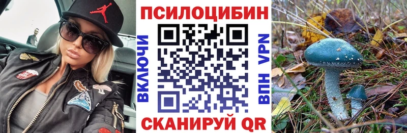купить закладку Вязьма Галлюциногенные грибы мицелий