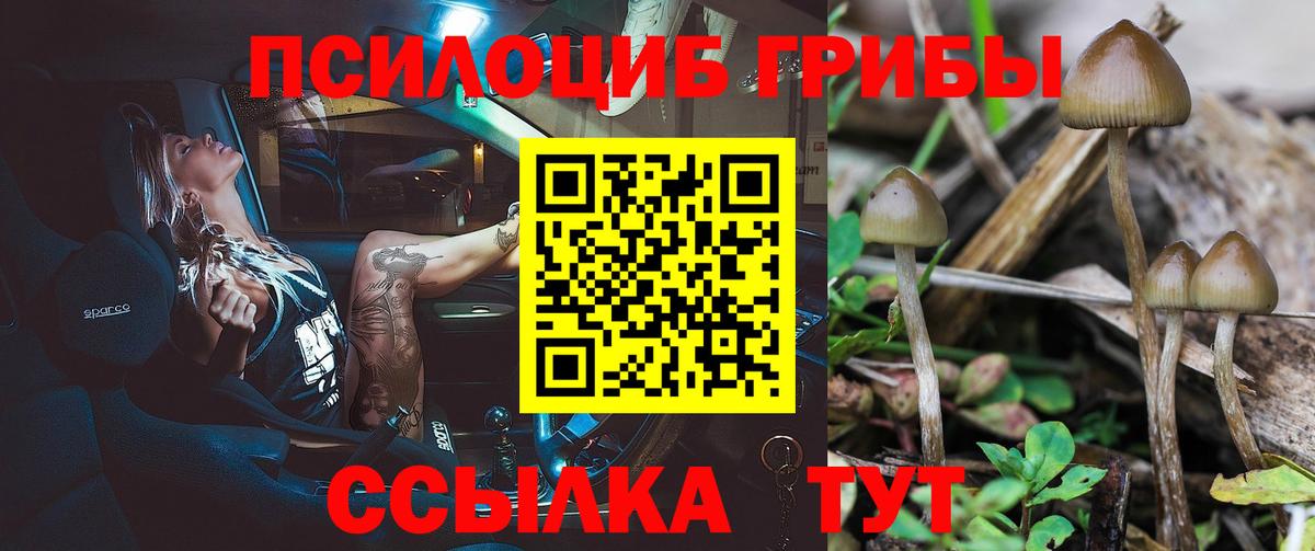 Галлюциногенные грибы прущие грибы  хочу   Вязьма  Вход с VPN 